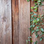 亚洲福利在线 j37in9m