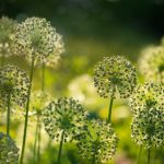 亚洲永久中文字 pwr7rl3sj