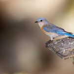 男女插插图 tg4xcwneq